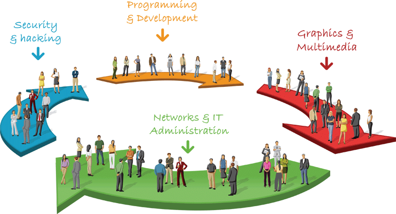 Discover the specialisms of the IT field
